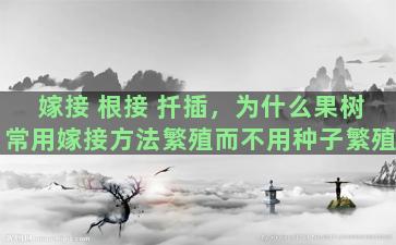 嫁接 根接 扦插，为什么果树常用嫁接方法繁殖而不用种子繁殖